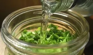 Як лікувати гастрит у домашніх умовах швидко і ефективно (умовах) Як лікувати гастрит у домашніх умовах швидко і ефективно