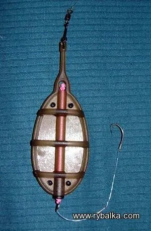 Як почати ловити коропа, блог користувача leonkarp (ловити) Як почати ловити коропа, блог користувача leonkarp