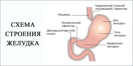 Як лікувати поверхневий гастрит Бульби (гастрит) Як лікувати поверхневий гастрит Бульби