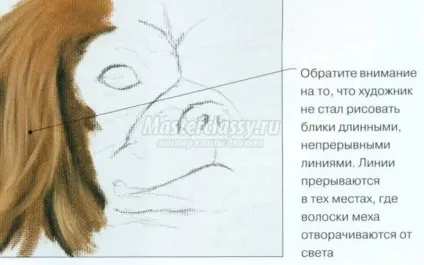 Як намалювати хутро master classy - майстер класи для вас (між) Як намалювати хутро master classy - майстер класи для вас