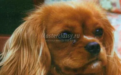 Як намалювати хутро master classy - майстер класи для вас (кисті) Як намалювати хутро master classy - майстер класи для вас