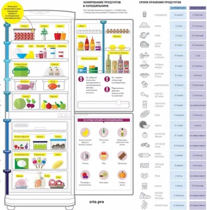 Як краще розмістити продукти всередині холодильника (продукти) Як краще розмістити продукти всередині холодильника