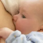 Корисні рецепти для мам, що годують дитину грудьми (інші спеції смаком) Корисні рецепти для мам, що годують дитину грудьми
