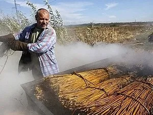 Підготовка лози - ярмарок майстрів - ручна робота, handmade (для плетіння) Підготовка лози - ярмарок майстрів - ручна робота, handmade