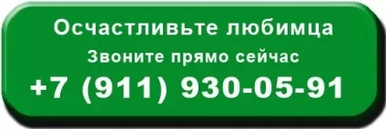 Підвісний місток служить для з'єднання елементів ігрового комплексу для кота (підвісний) Підвісний місток служить для з'єднання елементів ігрового комплексу для кота