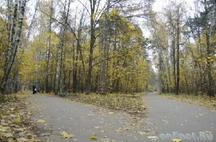 Покровське - стрешневскій парк