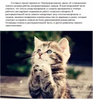 Допоможіть скласти проект наказу (трудова книжка) Допоможіть скласти проект наказу