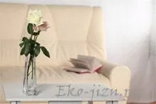 Порядок в будинку з точки зору психології (будинку) Порядок в будинку з точки зору психології