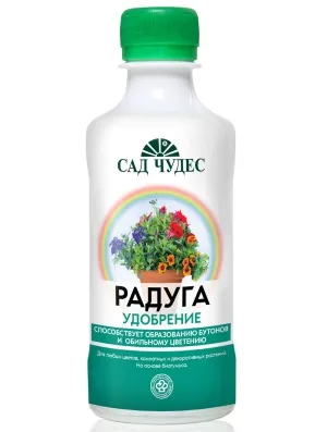 Посадка і догляд за олеандром - інструкція для садівника