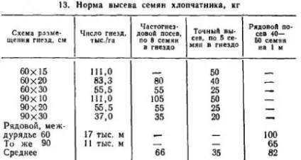 Посів бавовнику - агроархів сільськогосподарські матеріали (має) Посів бавовнику - агроархів сільськогосподарські матеріали