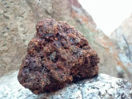 Користь і шкода жасминового чаю (шкода) Користь і шкода жасминового чаю