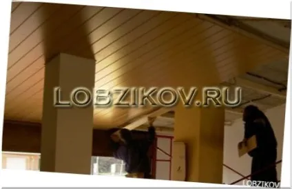 Стеля з сайдингу