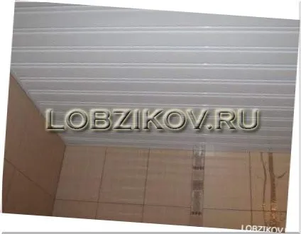Стеля з сайдингу