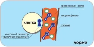 Причини низького вмісту інсуліну в крові (низький вміст інсуліну в крові симптоми причини лікування) Причини низького вмісту інсуліну в крові