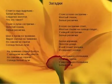 Презентація - польові квіти - завантажити безкоштовно