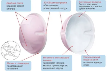 Припливи молока, причини підтікання молока, що робити при витіканні молока (припливи) Припливи молока, причини підтікання молока, що робити при витіканні молока