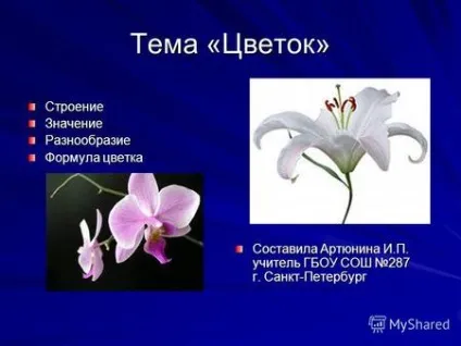 Презентації на тему - квітка