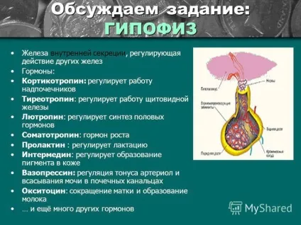 Презентація на тему роль гормонів в обміні речовин, росту й розвитку організму біологія 8 клас (гормонів) Презентація на тему роль гормонів в обміні речовин, росту й розвитку організму біологія 8 клас