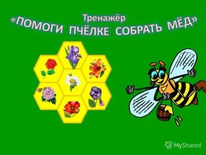Презентації на тему - квітка