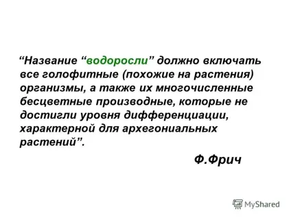 Презентація на тему альгологія - наука про водорості (альгологія - наука про водорості. Водорості - це штучна група талломних спорових організмів) Презентація на тему альгологія - наука про водорості