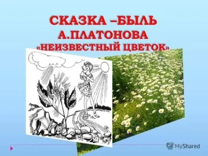 Презентації на тему - квітка