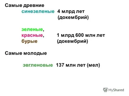 Презентація на тему альгологія - наука про водорості (володіють.) Презентація на тему альгологія - наука про водорості