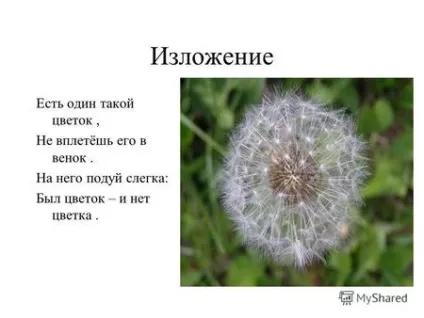 Презентації на тему - квітка