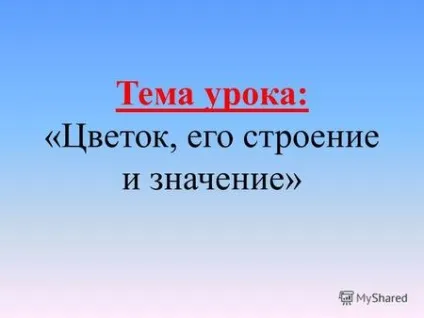 Презентації на тему - квітка