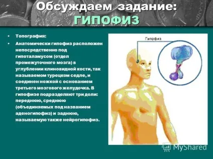 Презентація на тему роль гормонів в обміні речовин, росту й розвитку організму біологія 8 клас (презентація) Презентація на тему роль гормонів в обміні речовин, росту й розвитку організму біологія 8 клас