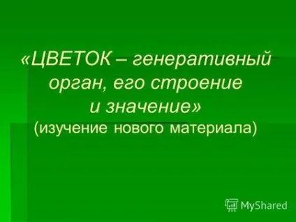 Презентації на тему - квітка