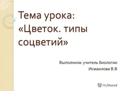 Презентації на тему - квітка