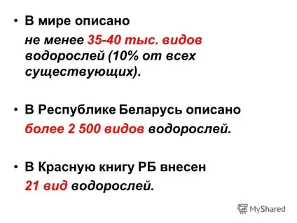 Презентація на тему альгологія - наука про водорості (наука) Презентація на тему альгологія - наука про водорості