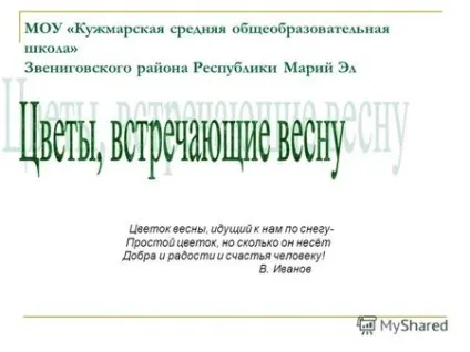 Презентації на тему - квітка