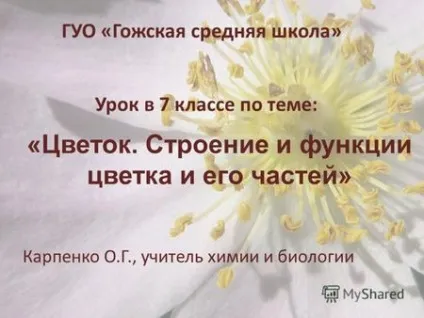 Презентації на тему - квітка