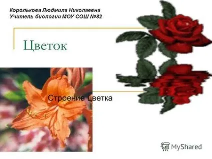 Презентації на тему - квітка