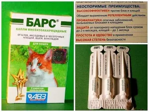 Застосування ефективних препаратів, лікарських засобів для лікування кішок від бліх і кліщів (лікування) Застосування ефективних препаратів, лікарських засобів для лікування кішок від бліх і кліщів