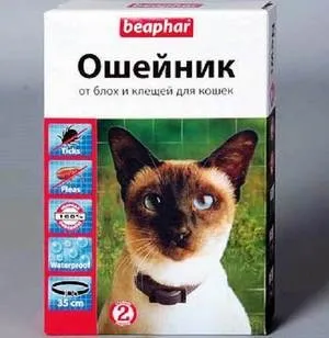Застосування ефективних препаратів, лікарських засобів для лікування кішок від бліх і кліщів (застосування) Застосування ефективних препаратів, лікарських засобів для лікування кішок від бліх і кліщів