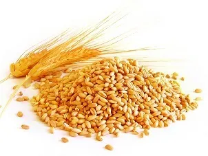 Продукти для молодості, краси і довголіття (краси) Продукти для молодості, краси і довголіття