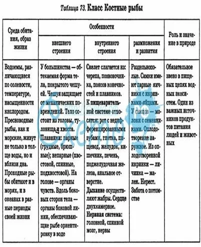 Пристосованість риб до життя у воді в зовнішньому і внутрішньому будову, розмноженні (методичка) Пристосованість риб до життя у воді в зовнішньому і внутрішньому будову, розмноженні