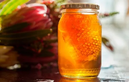 Продукти харчування, що подовжують і зберігають молодість, компетентно про здоров'я на ilive (продукти для молодості) Продукти харчування, що подовжують і зберігають молодість, компетентно про здоров'я на ilive