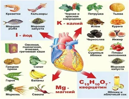 Продукти при серцевій недостатності дієта і харчування на кожен день (дієта) Продукти при серцевій недостатності дієта і харчування на кожен день
