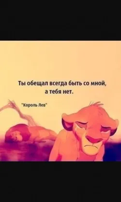 Прости, що я не встигла