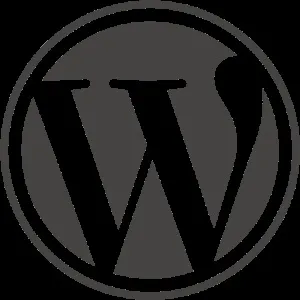Довільні поля wordpress - вставка скриптів в запис (використання) Довільні поля wordpress - вставка скриптів в запис