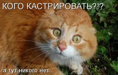 Психологія у гумору