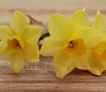 Розслаблююча маска з легким ароматом лаванди - що ще потрібно після роботи! Naturalist clay mask (лаванди) Розслаблююча маска з легким ароматом лаванди - що ще потрібно після роботи! Naturalist clay mask