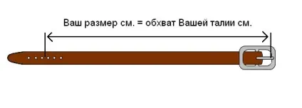 розміри ременів