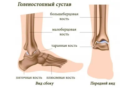 Розтягнення зв'язок стопи і гомілки, симптоми і лікування (стопи) Розтягнення зв'язок стопи і гомілки, симптоми і лікування