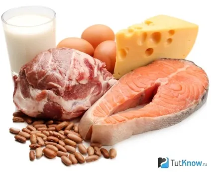 Роздільне харчування по Шелтону правила і поєднання продуктів (білки) Роздільне харчування по Шелтону правила і поєднання продуктів