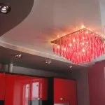 Розмноження акації, будинок, сад, город