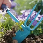 Розмноження хризантем, підсобне господарство